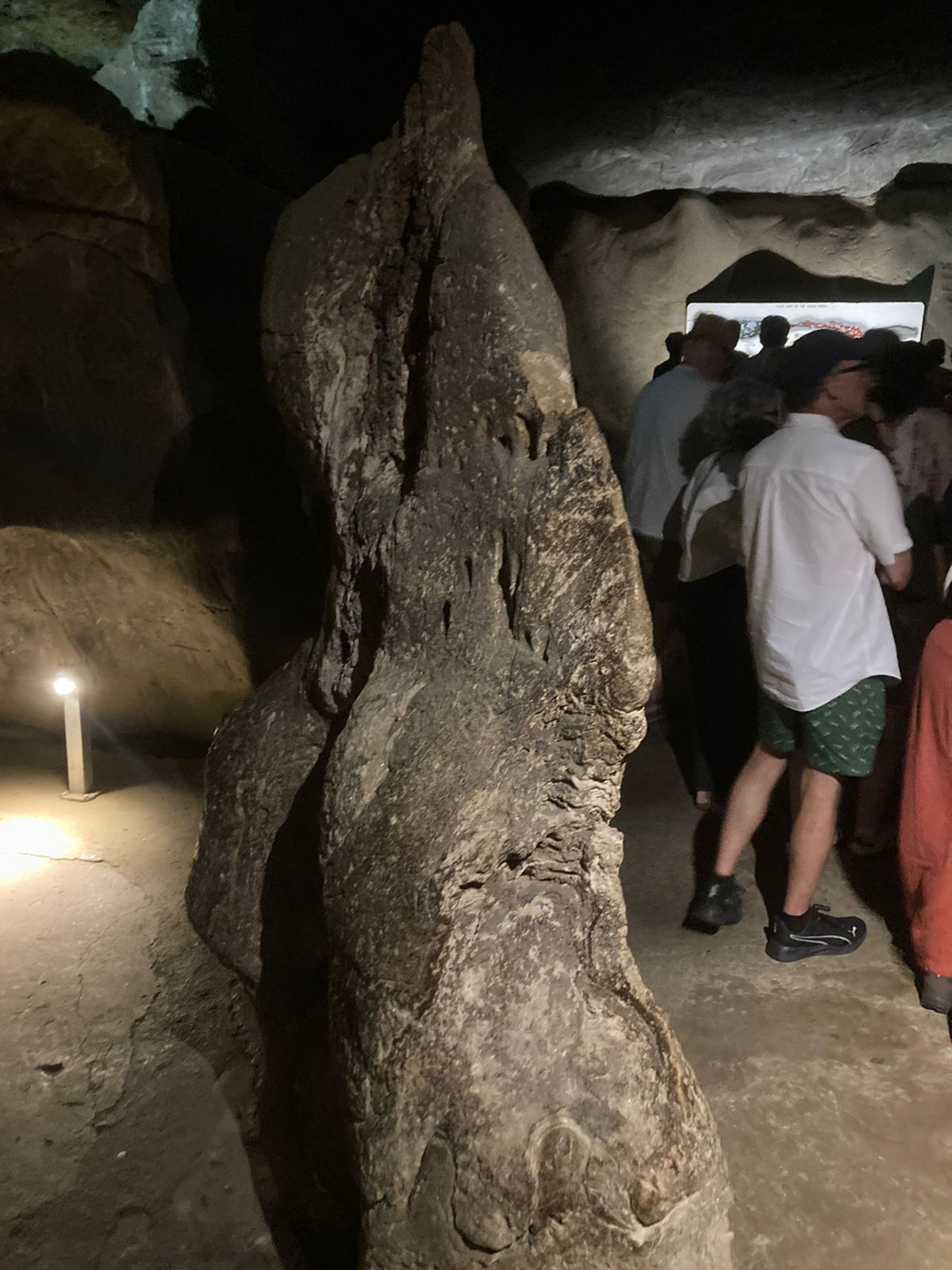 Cape of Good Hope Day Tour